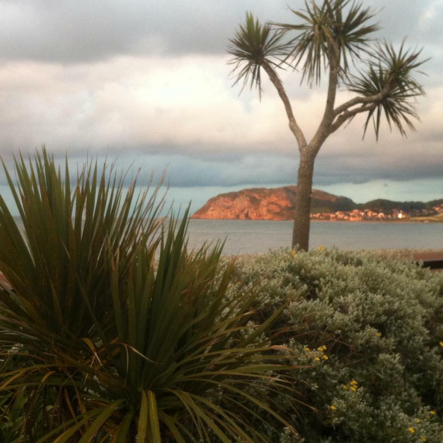 Cedar Lodge Llandudno Dış mekan fotoğraf
